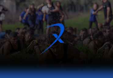 אקסלנט אונליין 