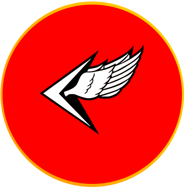 Battalion 55