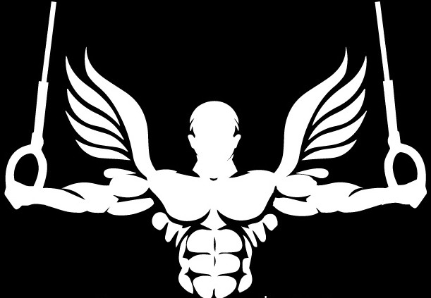  ליווי ותוכנית אימון אישית קליסטניקס וחדר כושר - ארבעה חודשים