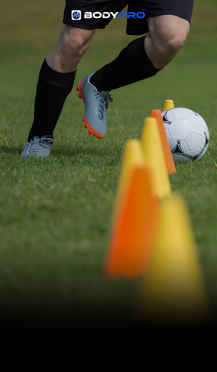 תוכנית אימון לפגרה